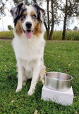 Pet Bowl, 32oz / 1L Stainless Steel, Double Walled, Non-Slip,